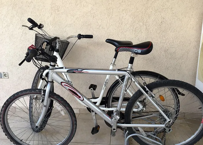 Selena Family 3* Süzebolu